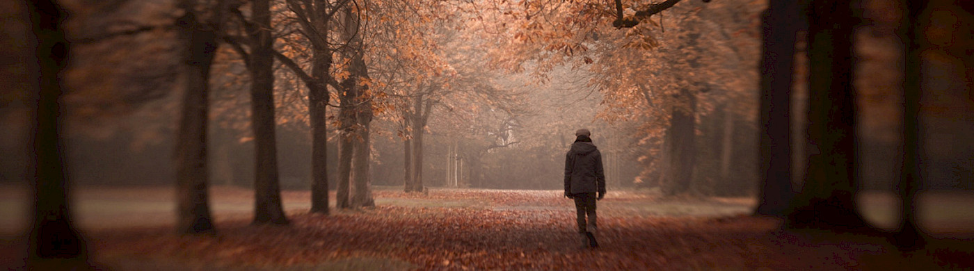 Spaziergang in einer Allee - © 
